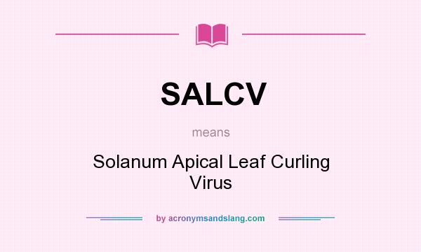What does SALCV mean? It stands for Solanum Apical Leaf Curling Virus