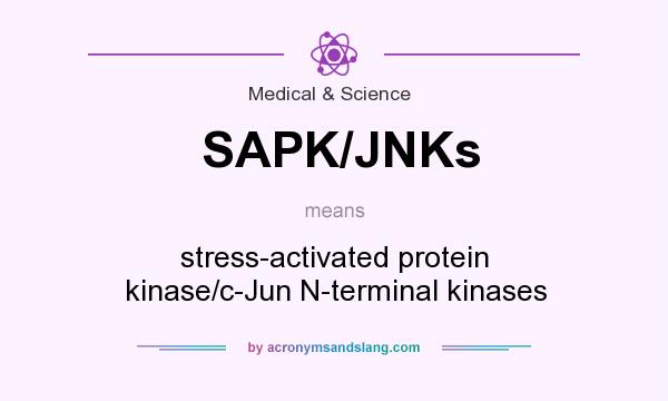 What does SAPK/JNKs mean? It stands for stress-activated protein kinase/c-Jun N-terminal kinases