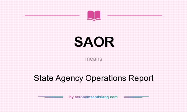What does SAOR mean? It stands for State Agency Operations Report