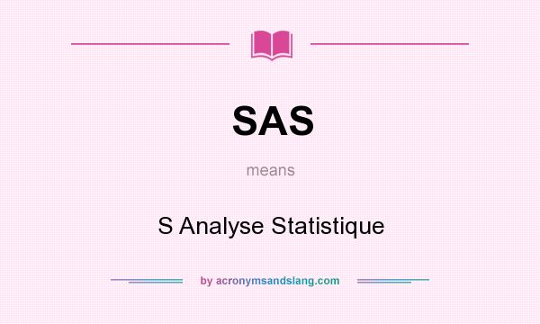 What does SAS mean? It stands for S Analyse Statistique