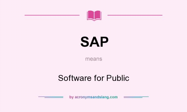 What does SAP mean? It stands for Software for Public