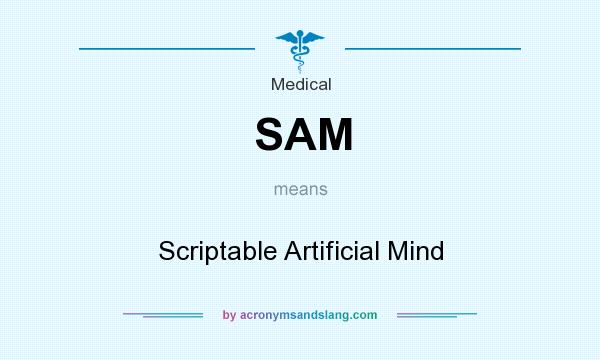 What does SAM mean? It stands for Scriptable Artificial Mind