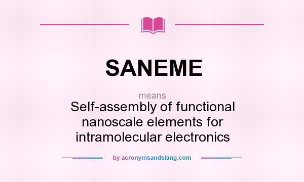 What does SANEME mean? It stands for Self-assembly of functional nanoscale elements for intramolecular electronics