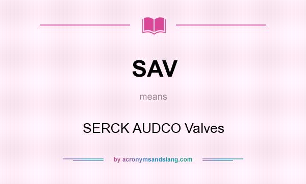 What does SAV mean? It stands for SERCK AUDCO Valves