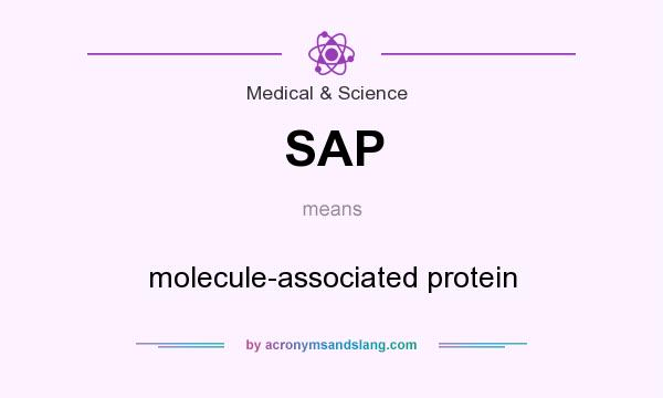 What does SAP mean? It stands for molecule-associated protein