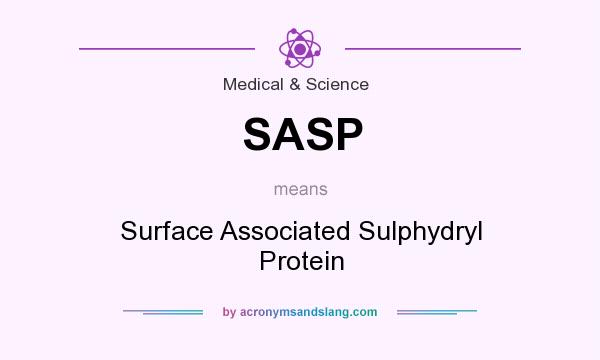 What does SASP mean? It stands for Surface Associated Sulphydryl Protein