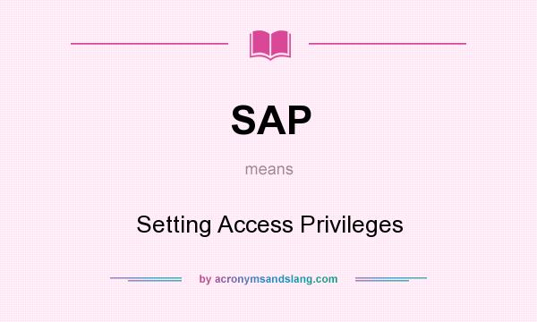 What does SAP mean? It stands for Setting Access Privileges
