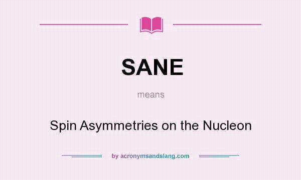 What does SANE mean? It stands for Spin Asymmetries on the Nucleon