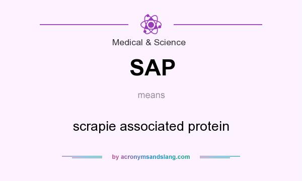 What does SAP mean? It stands for scrapie associated protein