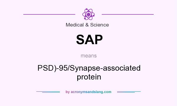 What does SAP mean? It stands for PSD)-95/Synapse-associated protein