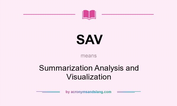 What does SAV mean? It stands for Summarization Analysis and Visualization