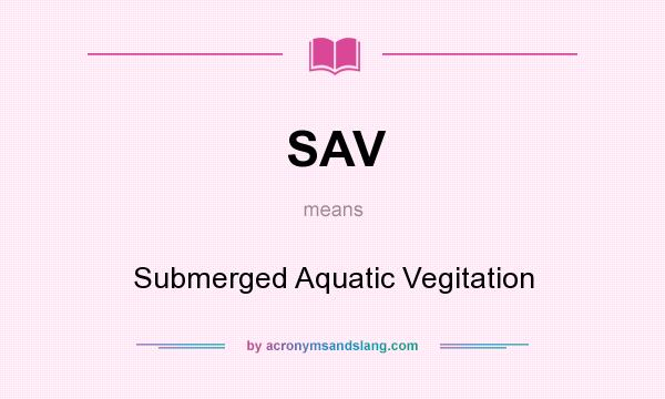 What does SAV mean? It stands for Submerged Aquatic Vegitation