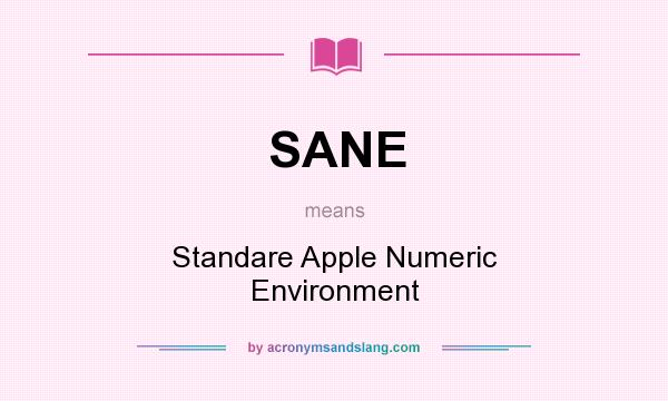 What does SANE mean? It stands for Standare Apple Numeric Environment