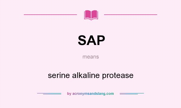 What does SAP mean? It stands for serine alkaline protease