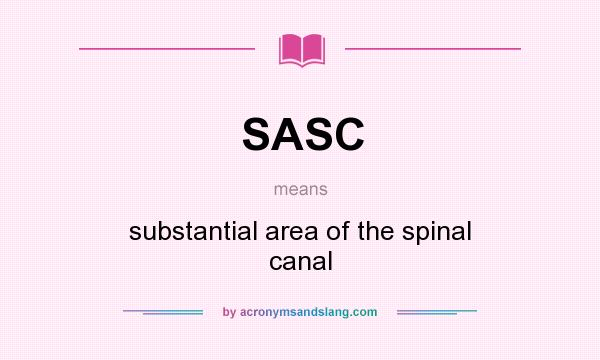 What does SASC mean? It stands for substantial area of the spinal canal