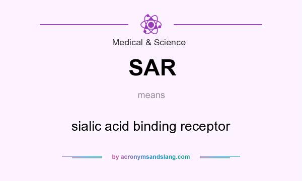 What does SAR mean? It stands for sialic acid binding receptor