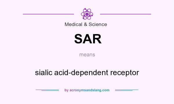 What does SAR mean? It stands for sialic acid-dependent receptor