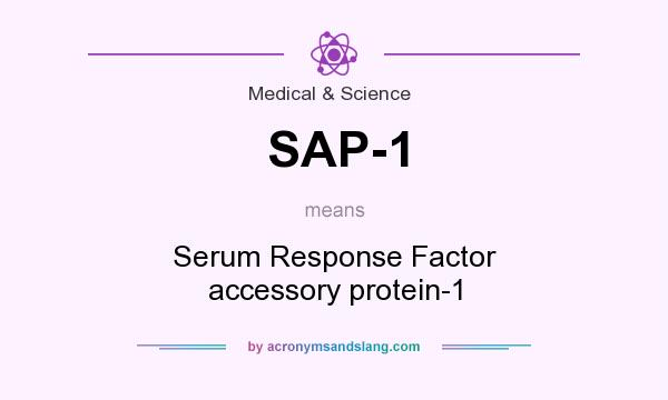 What does SAP-1 mean? It stands for Serum Response Factor accessory protein-1