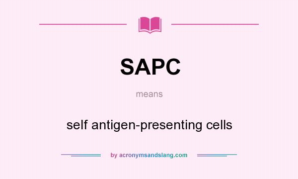 What does SAPC mean? It stands for self antigen-presenting cells