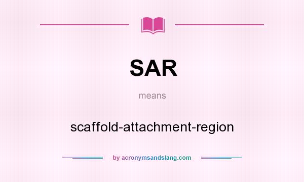 What does SAR mean? It stands for scaffold-attachment-region