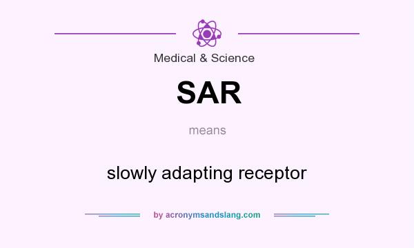 What does SAR mean? It stands for slowly adapting receptor