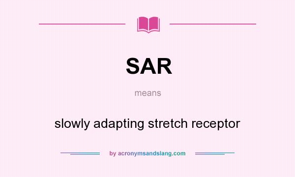 What does SAR mean? It stands for slowly adapting stretch receptor