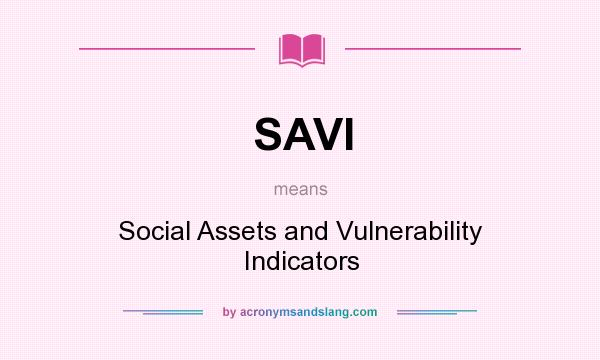 What does SAVI mean? It stands for Social Assets and Vulnerability Indicators