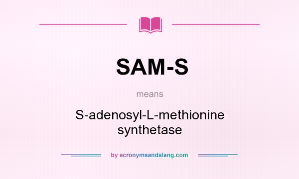 What does SAM-S mean? It stands for S-adenosyl-L-methionine synthetase