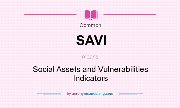 What does SAVI mean? It stands for Social Assets and Vulnerabilities Indicators
