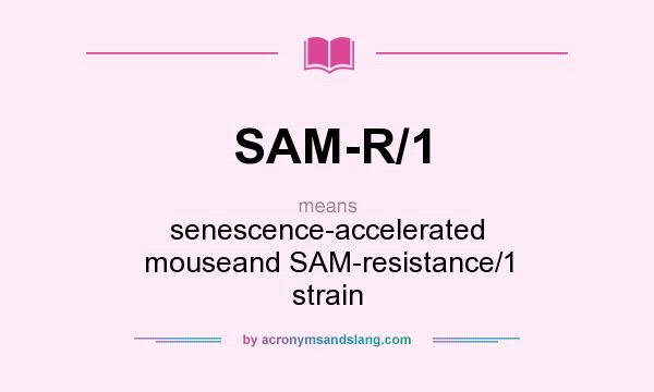 What does SAM-R/1 mean? It stands for senescence-accelerated mouseand SAM-resistance/1 strain