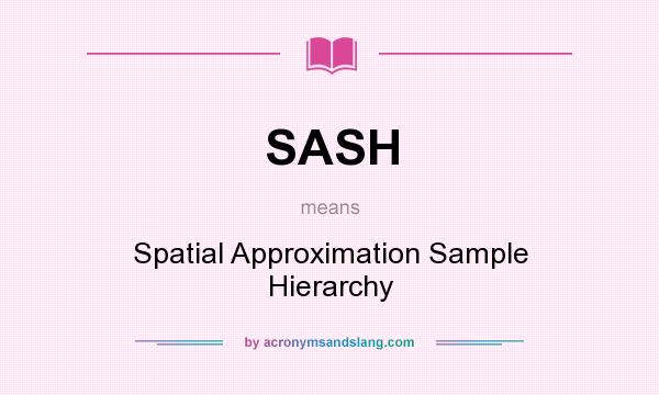 What does SASH mean? It stands for Spatial Approximation Sample Hierarchy