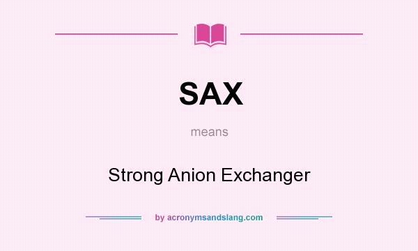 What does SAX mean? It stands for Strong Anion Exchanger