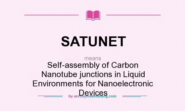 What does SATUNET mean? It stands for Self-assembly of Carbon Nanotube junctions in Liquid Environments for Nanoelectronic Devices
