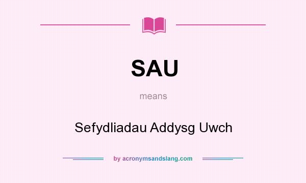 What does SAU mean? It stands for Sefydliadau Addysg Uwch