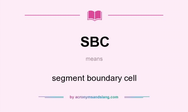What does SBC mean? It stands for segment boundary cell