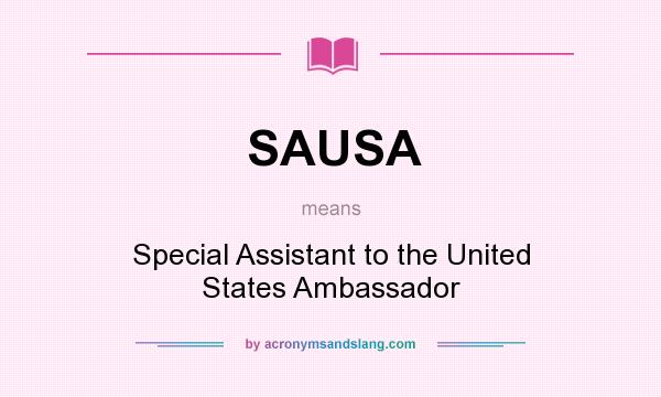 What does SAUSA mean? It stands for Special Assistant to the United States Ambassador