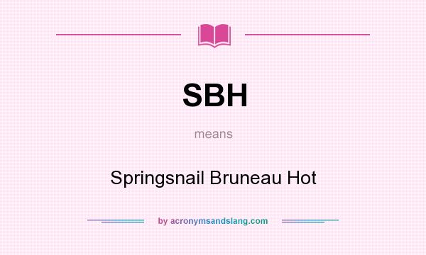 What does SBH mean? It stands for Springsnail Bruneau Hot
