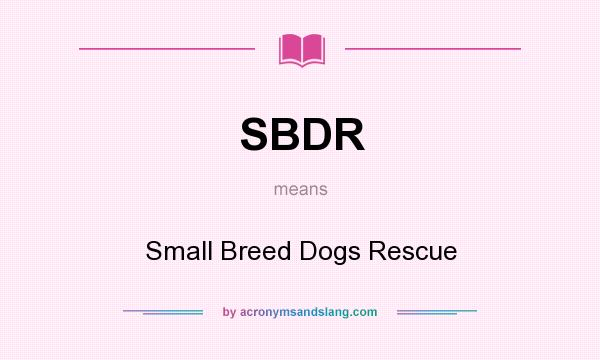 What does SBDR mean? It stands for Small Breed Dogs Rescue