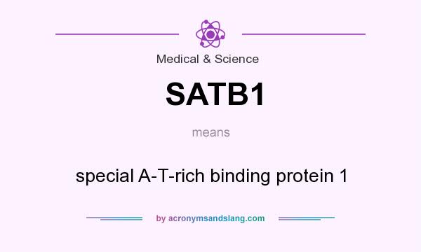 What does SATB1 mean? It stands for special A-T-rich binding protein 1
