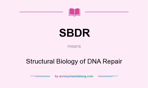 What does SBDR mean? It stands for Structural Biology of DNA Repair