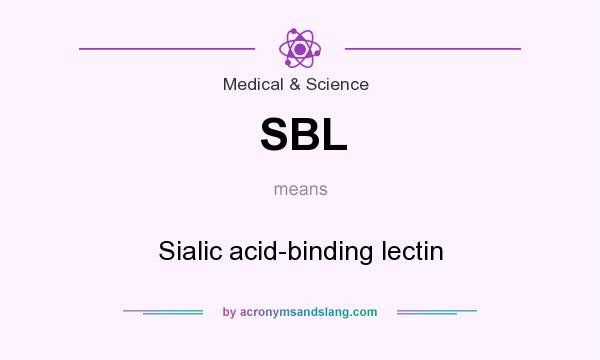What does SBL mean? It stands for Sialic acid-binding lectin