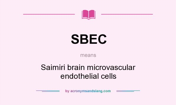 What does SBEC mean? It stands for Saimiri brain microvascular endothelial cells