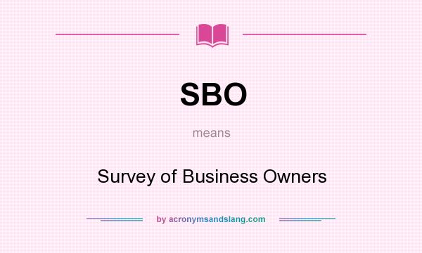 What does SBO mean? It stands for Survey of Business Owners
