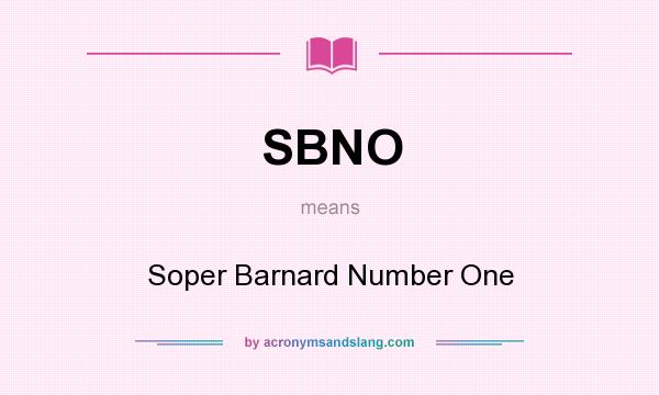 What does SBNO mean? It stands for Soper Barnard Number One