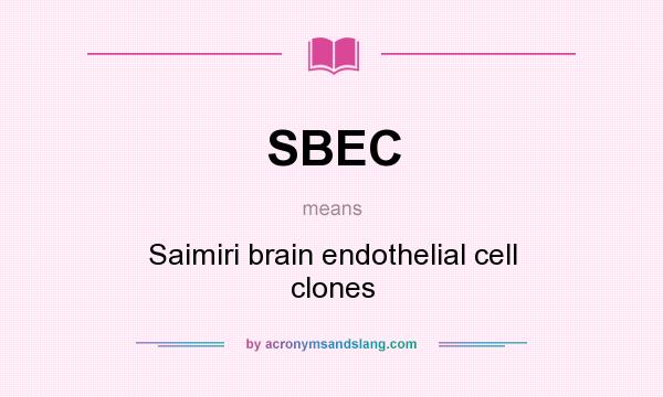 What does SBEC mean? It stands for Saimiri brain endothelial cell clones