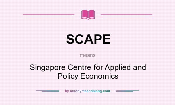 What does SCAPE mean? It stands for Singapore Centre for Applied and Policy Economics