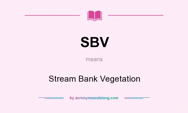 What does SBV mean? It stands for Stream Bank Vegetation