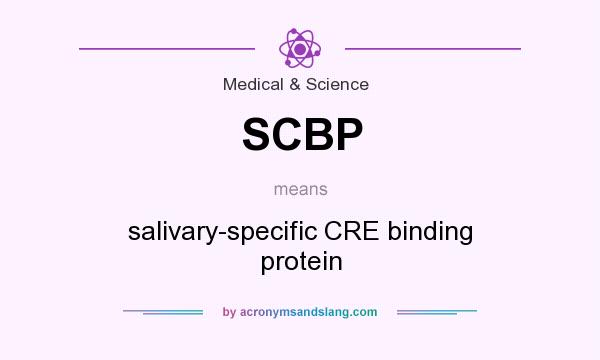 What does SCBP mean? It stands for salivary-specific CRE binding protein
