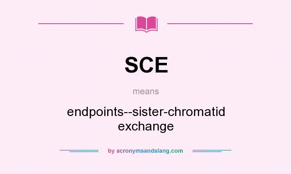 What does SCE mean? It stands for endpoints--sister-chromatid exchange
