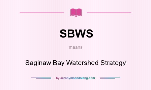 What does SBWS mean? It stands for Saginaw Bay Watershed Strategy